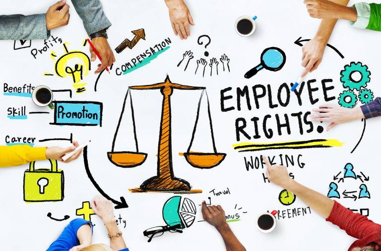 Employment Equity, Skills Development & Labour Law [16, 23 & 30 Oct 2024 - Bridgestone] EESDL1