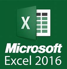 Microsoft Office Excel 2016 Basic [11 Aug 2023 - P] MSEB2